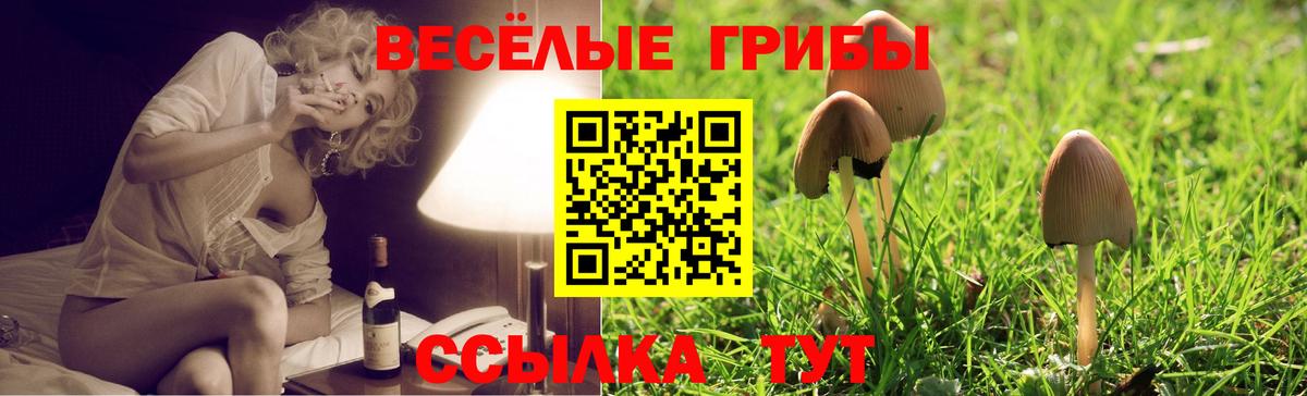 Галлюциногенные грибы MAGIC MUSHROOMS Ржев